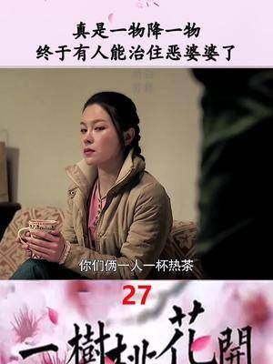 把好儿媳妇给欺负走了,来了一个不好欺负的,恶婆婆这下活该了