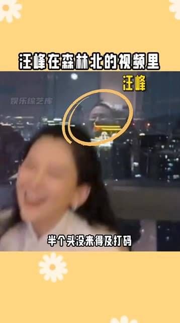 网友曝光了与森林北手牵手的照片,并爆料汪峰携森林北出席家庭聚会…