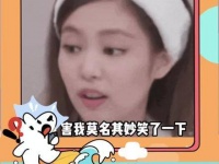 哎呀，哪位那英呢？