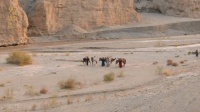 唐诡西行旅行团落地莫高窟，这次的冒险又会迎来怎样的惊险与挑战呢？