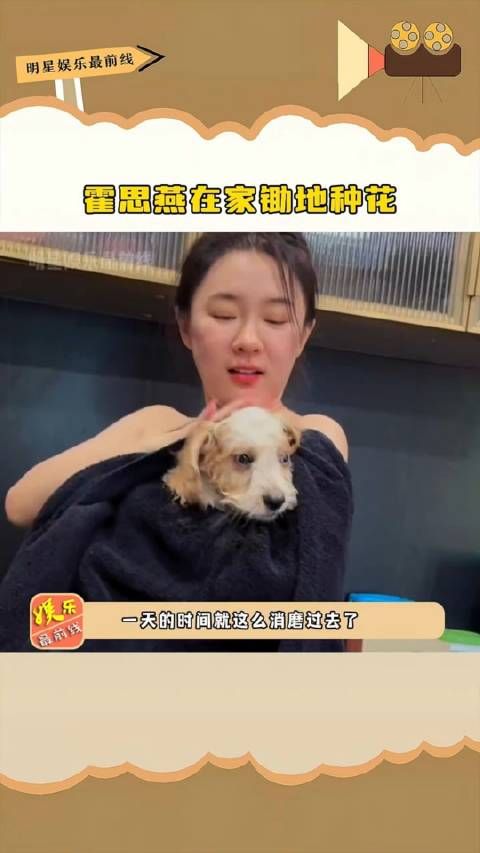 明星大咖霍思燕 在家锄地种花,现在圈内最悠闲幸福的女人…