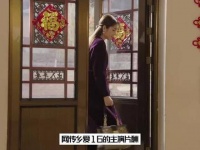 《乡村爱情16》演员们的片酬被曝光了，大家认为这样的报酬合适吗?