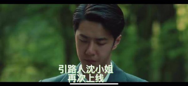 引路人沈小姐再度回归