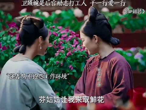 卫嬿婉才是后宫第一励志打工人,干一行爱一行