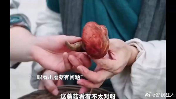 西施之:这蘑菇厉害,吃完吐泡泡