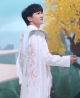 网网好美，宛如仙境…