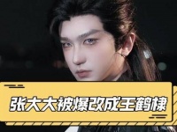 张大大的粉丝创意无限，竟然把他爆改成了 王鹤棣 …