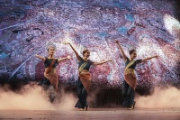 中国艺术团圣保罗献艺