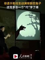 灵活度满分！非遗手影戏沉浸演绎孤狼觅食