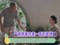 在这样恰好的时光里，父母的爱情就像精心养护的花朵一样生动展现…