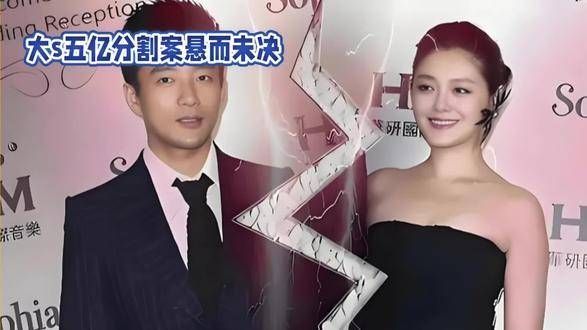 汪小菲慈善行动背后的纷扰:大S五亿财产案仍未解决