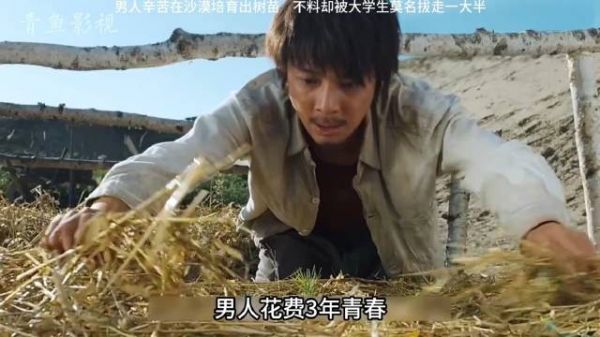 男人辛苦在沙漠培育出树苗,不料却被大学生莫名拔走一大半