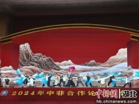 武当武术亮相2024年中非合作论坛峰会文艺演出