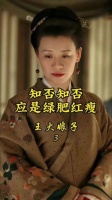 大娘子的嘴像炮竹一样，噼里啪啦一番说辞