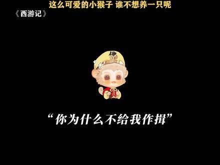 全世界最讨人喜欢的小甜猴