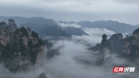张家界十里画廊：云雾绕峰丛 水墨画卷醉游人