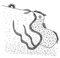 叶文福：推荐一首好诗