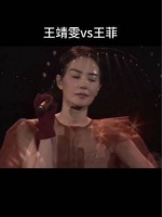 一直以为王靖雯和王菲是不同的人