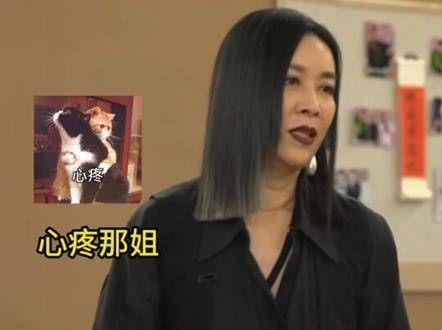 虽然这是综艺剧本,但嘉宾的安全同样重要啊萌探探探案 综艺