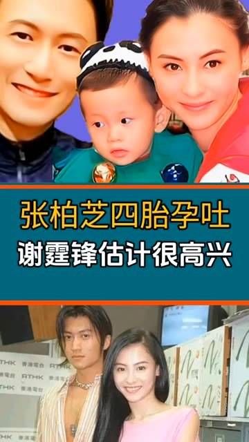 谢霆锋四胎孕吐,谢霆锋可能得高兴得多喝几杯