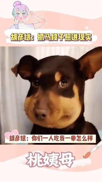 胡彦斌说：“干脆把我吃掉吧！”