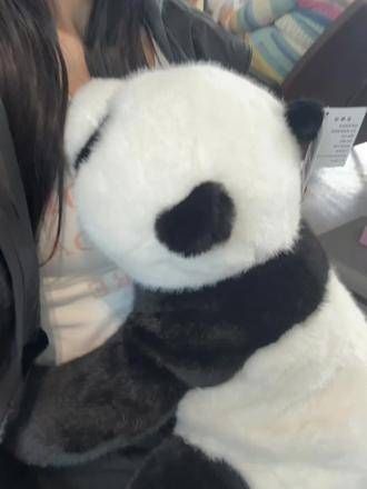 家人们,谁能懂这份萌?它真的超可爱的