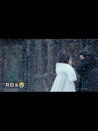 “将来若能一同漫步雪中,这一生便算共同白头偕老”
