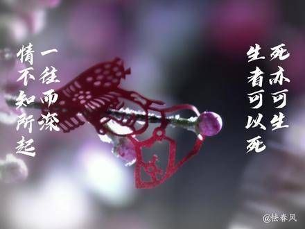 情缘难料,一往情深