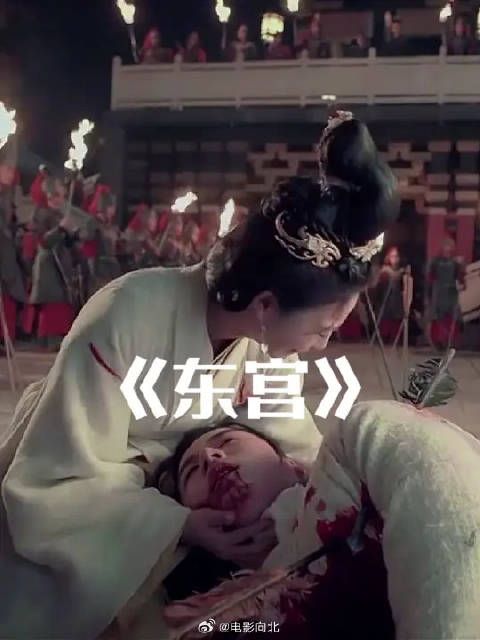 可惜你不看东宫,你也不懂我的意难平