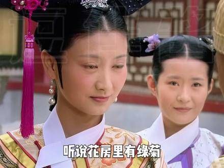 绿菊还是绿橘?
