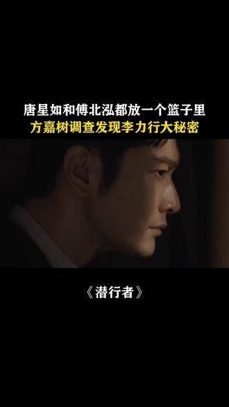 唐星如和傅北泓都被放在同一个篮子里,方嘉树调查后发现了李力行的重大秘密