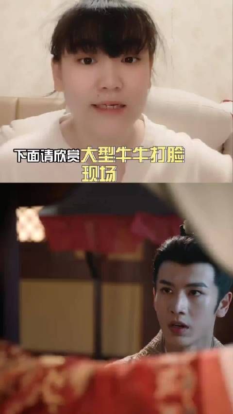 一起来看 张凌赫 我那古希腊掌管破碎感的神 赵今麦 张凌赫