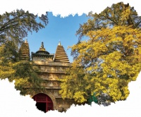 10个！国庆观展攻略来了，这些特色博物馆每个都想去 | 嗨玩国庆