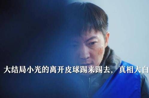 大结局揭晓了小光离开的真相,罗浩然及其同伙得到了应有的惩罚…