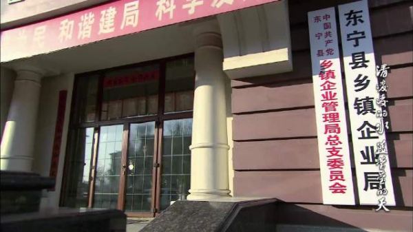 乡长参加新农村成果展,收益颇多