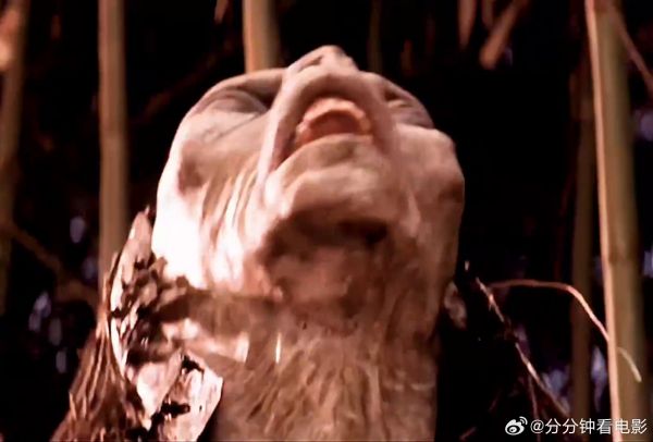 这到底是什么怪物