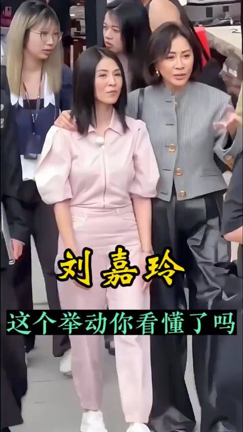 明星 刘嘉玲 杨采妮