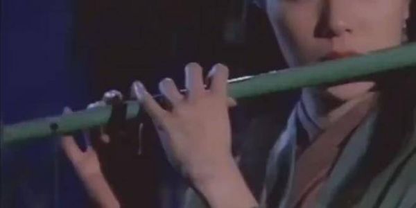 张可颐版的程英确实是《神雕侠侣》中最美的程英,不知大家是否认同