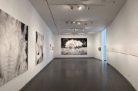 南京艺术学院美术馆新展：一次真正的散步