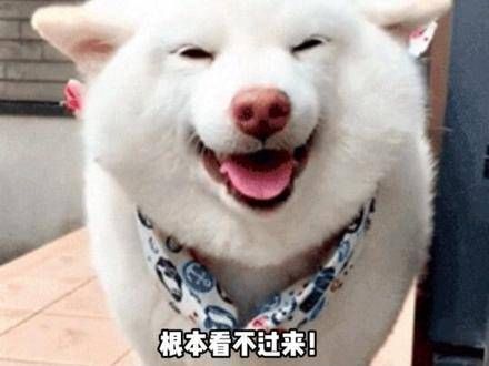 剧荒的小伙伴一定要看!