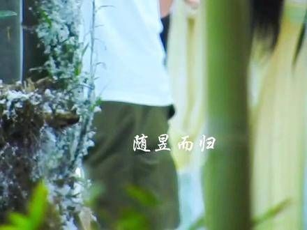 噜噜晓雪有趣吗?
