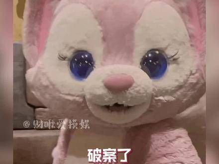 就是说,赶紧用你家的毛孩子试试看吧!