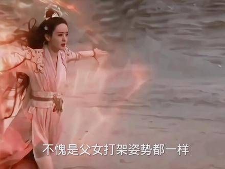 不愧是父女,打架的姿势都如此相似,转身的动作也流畅自如…