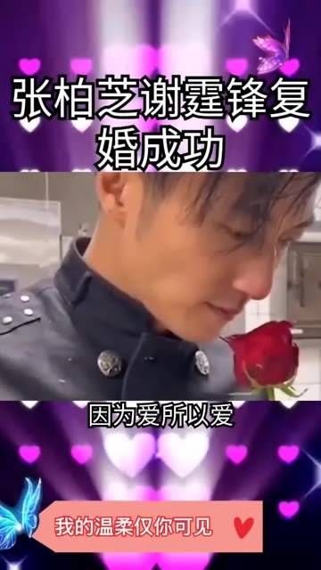 张柏芝与谢霆锋复婚成功,因爱而爱