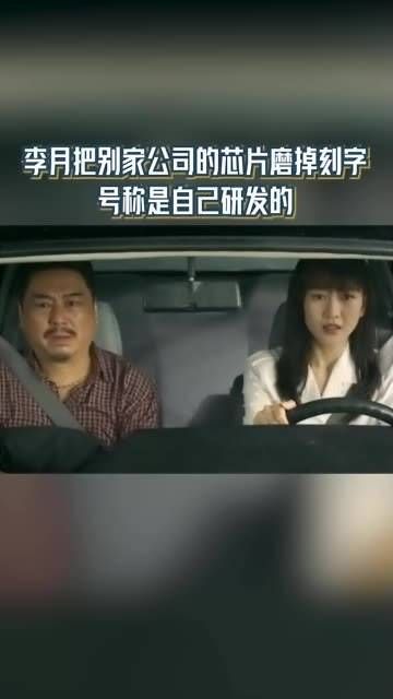 李月制造假芯片,被抓的竟然是举报他们的秦总