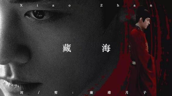 藏海,直至今日,仍是我所见最为出色之人,无人能出其右