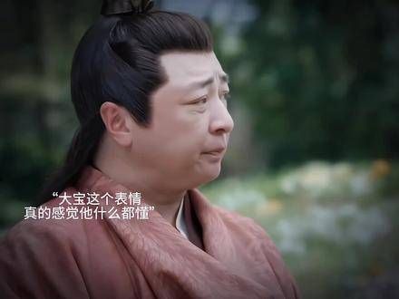 觉得大宝似乎什么都明白,却又好像什么都不懂,他的神情显得有些酸楚…