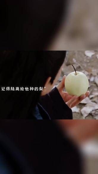 师傅悔悟，救下了洛歌和柳梢