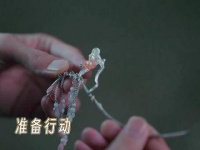 想遍了所有行业也没想到土匪这个职业