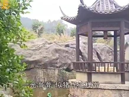 谁家的岳父这么可爱呀,真想带回家啊